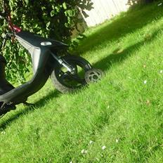 Gilera $talker CORSA>>SOLGT