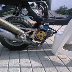 Suzuki Fz/Sonic [SOLGT]
