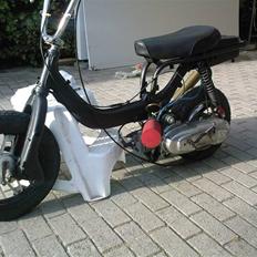 Suzuki Fz/Sonic [SOLGT]