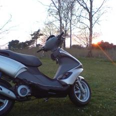 Benelli 491 st (SOLGT)