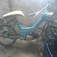 Puch maxi (SOLGT)
