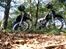 Gilera RCR LC DD / Byttet 