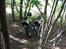 Gilera RCR LC DD / Byttet 
