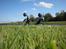 Gilera RCR LC DD / Byttet 