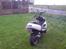 Benelli 491 SOLGT