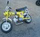 Honda Dax* SOLGT-