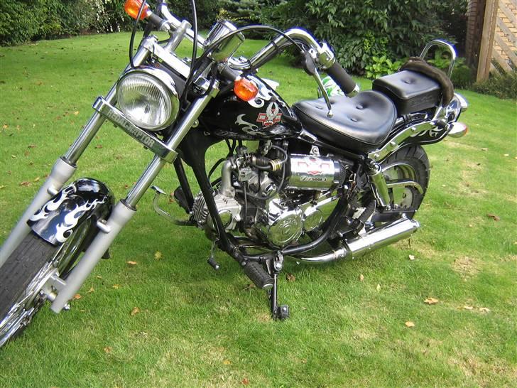 Regal Raptor [Solgt] billede 3