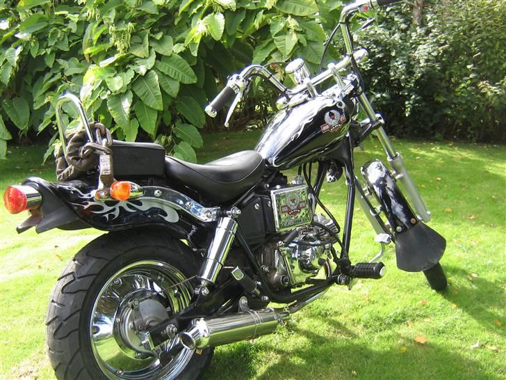 Regal Raptor [Solgt] - Hun er sku Fræk <33 billede 6