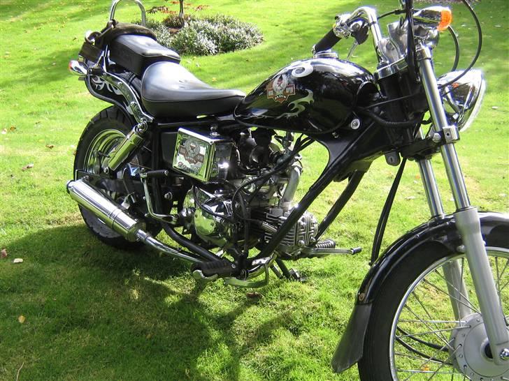 Regal Raptor [Solgt] billede 7