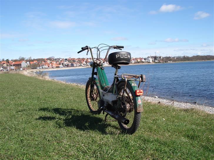 Puch Maxi P billede 7
