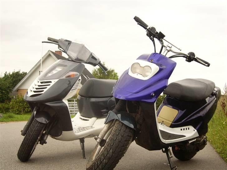 PGO Hot 50 / sally - Sally og sandy billede 2