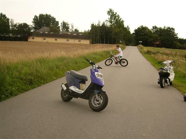 PGO Hot 50 / sally - Sally billede 11