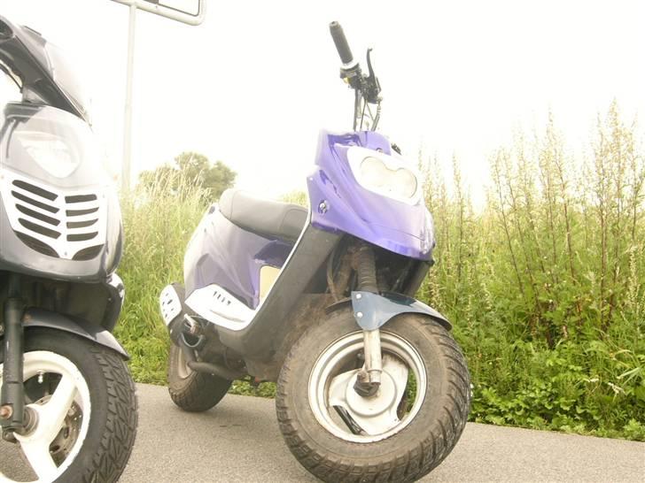 PGO Hot 50 / sally - sally og sandy billede 13