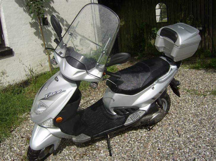 PGO T-REX  billede 8