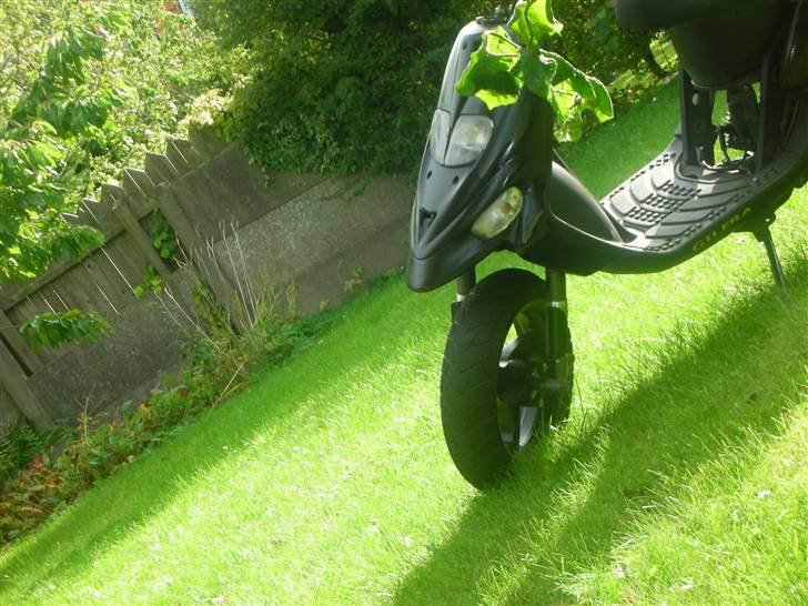 Gilera $talker CORSA>>SOLGT - Stal Missen billede 2