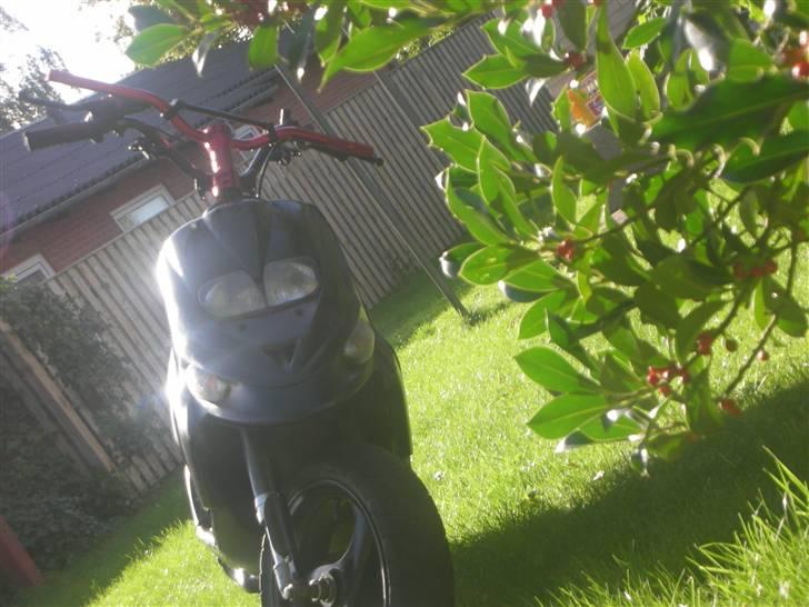 Gilera $talker CORSA>>SOLGT - BART STYR som skal monteres!!! billede 4