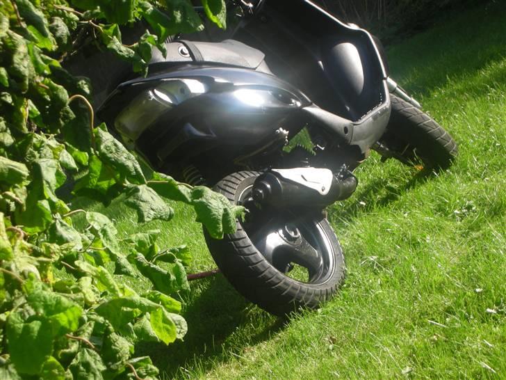 Gilera $talker CORSA>>SOLGT - Med klar baglys(Blink lys kommer) billede 7