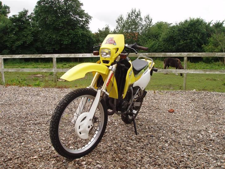 Suzuki Rmx billede 1