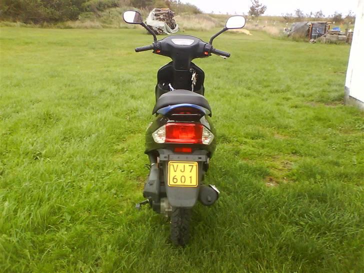 Giantco Sprint Sport billede 4