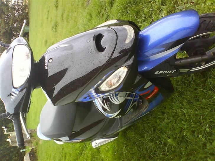 Giantco Sprint Sport billede 10