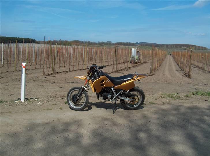 Suzuki SMX LC   billede 7