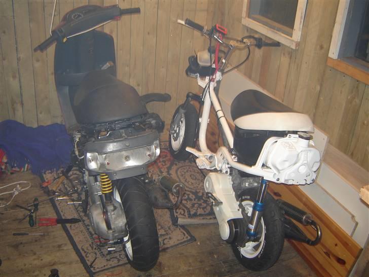 Piaggio zip - sammen med benny`s jog billede 9