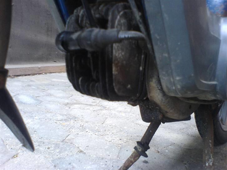 Piaggio ciao-før den blev fed! - gammel billede  billede 5