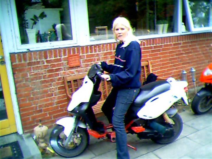 PGO pmx byttet til yamaha xt  billede 4