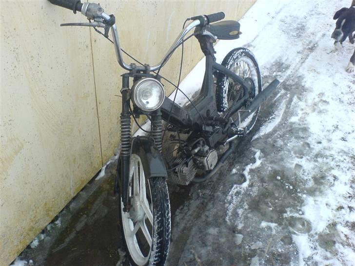 KTM foxi/maxi SOLGT billede 2