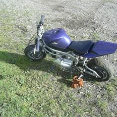 Honda kopi 110ccm ( SOLGT )