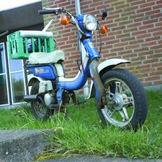 Suzuki Fz50 Det Blå Std. Lyn