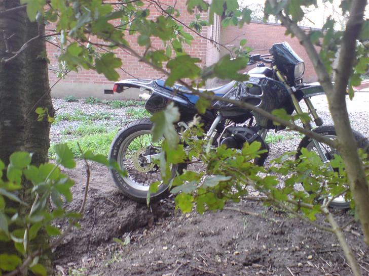 Suzuki Smx *Solgt* billede 4