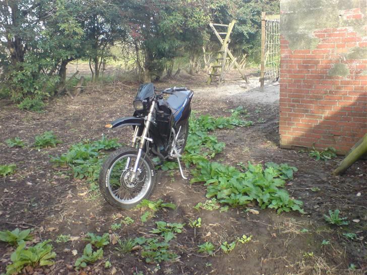 Suzuki Smx *Solgt* billede 16