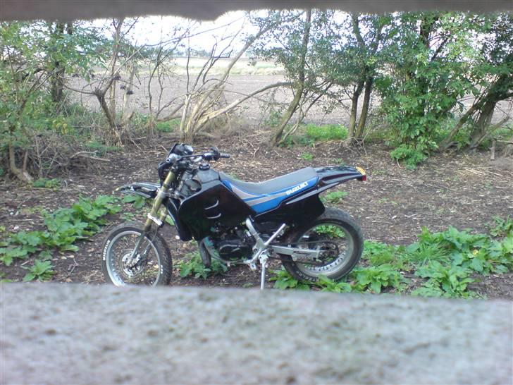 Suzuki Smx *Solgt* billede 17