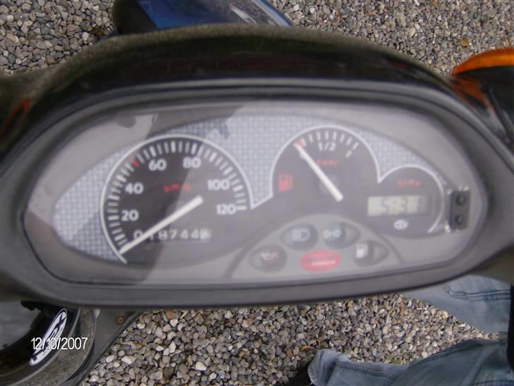 Piaggio Typhoon til salg. billede 6