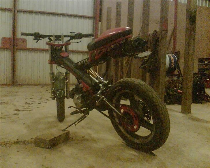 Sachs Madass - Byttet til sonic - Grrrr hun er lækker! billede 4