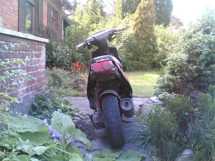 PGO Hot 50 (STJÅLLET!!!) billede 3