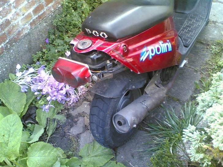 PGO Hot 50 (STJÅLLET!!!) billede 4