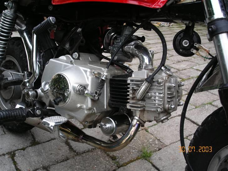 Skyteam Gorilla - der er helt bart efter alle de standard dele billede 11