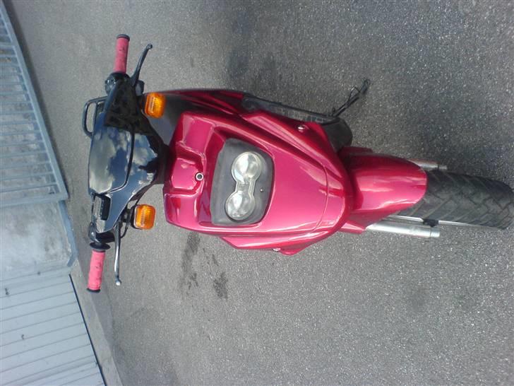 PGO Hot 50 billede 1