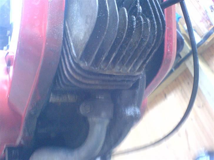 Piaggio ciao-før den blev fed! - nyt billede billede 12