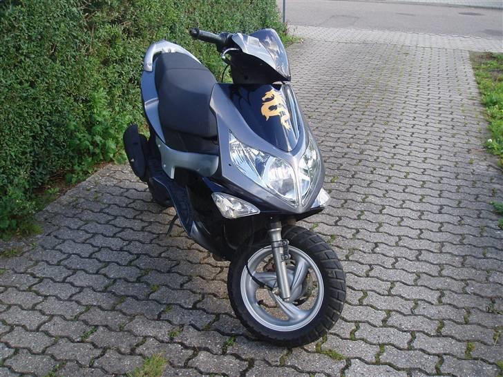 PGO G-Max billede 10