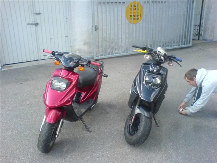 PGO Hot 50 billede 5