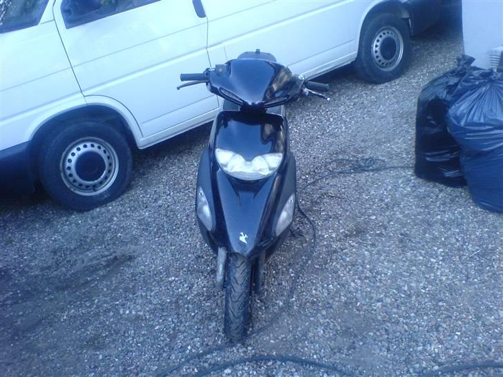 Honda SFX billede 1