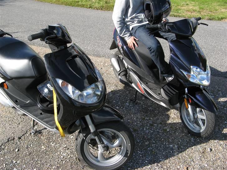 Peugeot Vivacity - stjålet !  - Møller og Lulle på tur ;D  billede 6