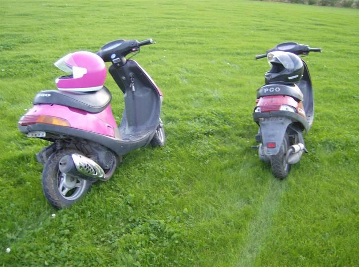 PGO comet SMADRET miss you:,( billede 4