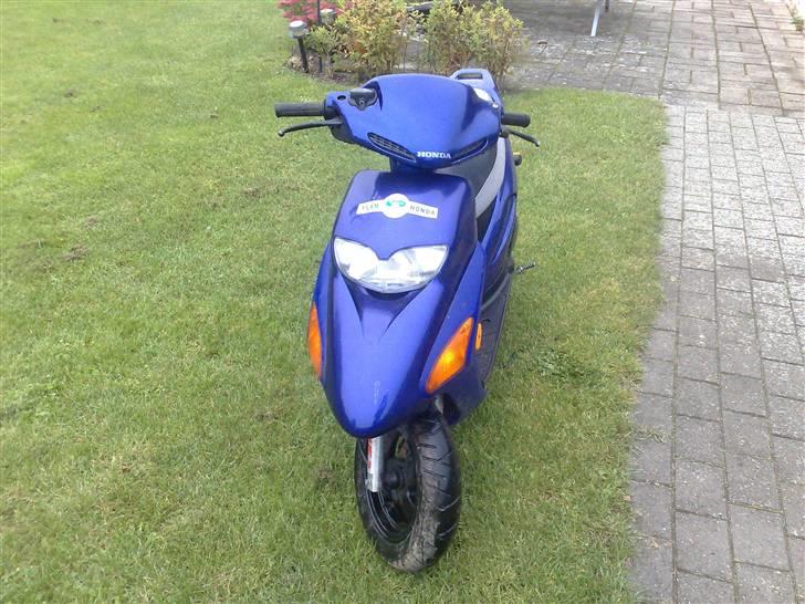 Honda sfx (TIL SALG BYD) billede 1