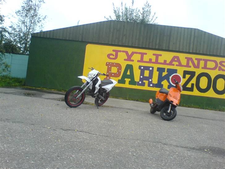 PGO Comet (Solgt) - Gratis reklame $ x] billede 12