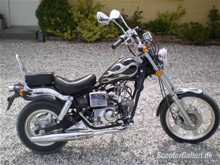 Kinroad prince "konrad" BYTTET billede 1