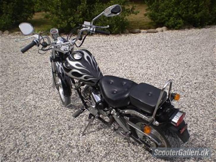 Kinroad prince "konrad" BYTTET billede 2